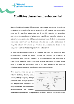 Catálogo - formato PDF - El experto en Acompañamiento Cuántico