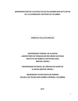 Programaci&oacute;n 2015 Plegable Final