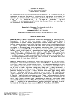 resumen - CoHemis