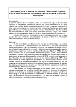 Crystal Reports ActiveX Designer - GENERAL.RPT