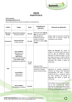 san pedro y la esperanza inician tr&aacute;mites para el avance de