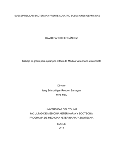 Iniciativa Municipal