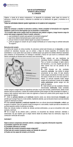 Analogue Sildenafil (Viagra) Sildenafil Analogue Hplc