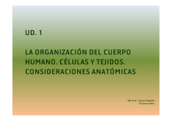 RELACIÓN DE OPERACIONES POR BENEFICIARIO