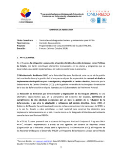 Programa Huertos Hidropónicos Verticales