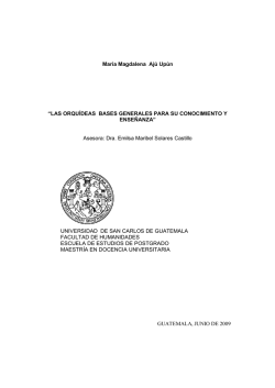 LA DELEGACION pdf free