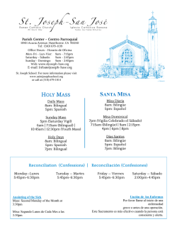 Descargar bolet&iacute;n en formato PDF