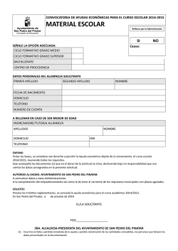 Previsualizaci&oacute;n
