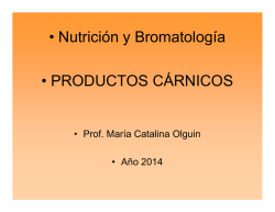 Paran obra en el Estadio Cuauht&eacute;moc; despiden a trabajadores y