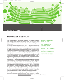 GUÍA TCDA 2015 - Torneo Ciudad de Alcalá