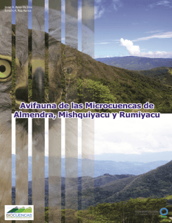 Actividades Abril - Ayuntamiento de Torredelcampo