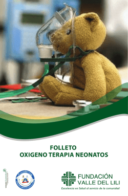 Organigrama por Grupos de Trabajo
