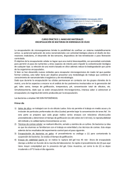 “Modernizarse o Desaparecer!”
