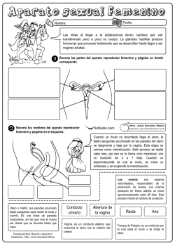 Para la Certificaci&oacute;n de Evaluadores del Desempe&ntilde;o del