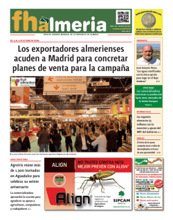 general fmenina ochavillo