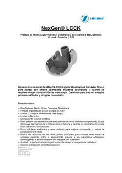 Nexgen Femoral LCCK.pdf - HP Medical
