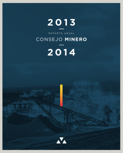 Reporte Anual Consejo Minero 2013-2014
