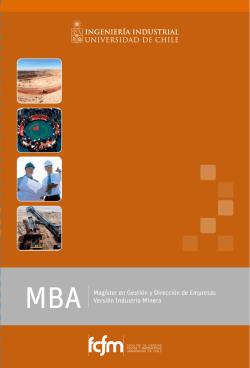 MBA Magíster en Gestión y Dirección de Empresas Versión