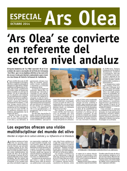 Enlace relacionado - Ayuntamiento de Castro del R&iacute;o