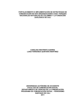 desarrollo organizacional 1 - Universidad Icesi
