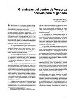 Gram&iacute;neas del centro de Veracruz nocivas para el ganado - Centros