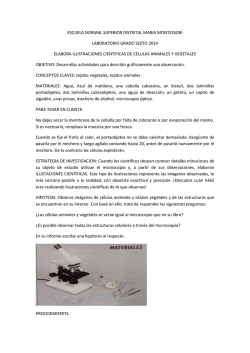 Descarga - normal montessori sede b
