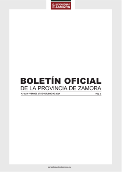 Descargar BOP completo - Diputaci&oacute;n de Zamora