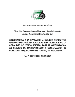 modelo de convocatoria a la licitacion publica nacional - Instituto