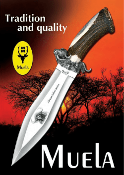 African Safari Series - Muela