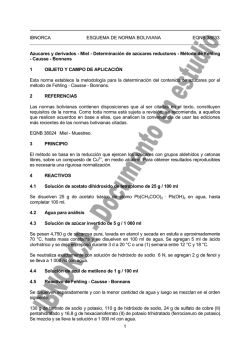 1 IBNORCA ESQUEMA DE NORMA BOLIVIANA EQNB 38033