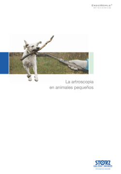 La artroscopia en animales pequenos (PDF | 1.1 MB) - Karl Storz