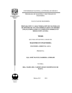 MAESTRO EN INGENIER&Iacute;A - UNAM