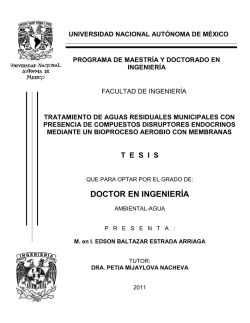DOCTOR EN INGENIERÍA - UNAM
