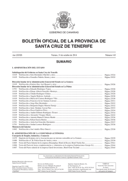 Boletín 143/2014, de fecha 31/10/2014 - BOP Santa Cruz de Tenerife