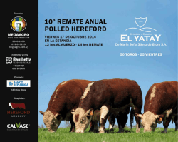 Descargar catálogo 2014 - Megaagro