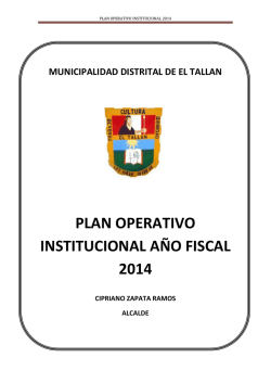 PLAN OPERATIVO INSTITUCIONAL 2014
