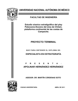 UNIVERSIDAD NACIONAL AUT&Oacute;NOMA DE M&Eacute;XICO - UNAM