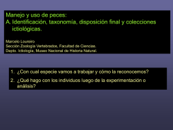 Diapositiva 1 - EVA