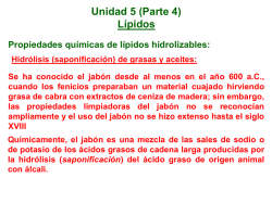 Unidad 5 (Biomoléculas, Lípidos P.4 2S 2014 USAC)