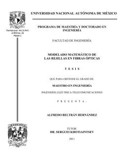 UNIVERSIDAD NACIONAL AUTÓNOMA DE MÉXICO - UNAM