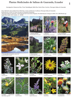 Plantas Medicinales de Salinas de Guaranda, Ecuador - Field Guides
