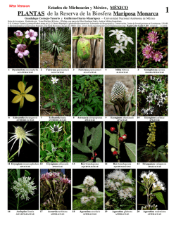 PLANTAS de la Reserva de la Biosfera Mariposa - Field Guides