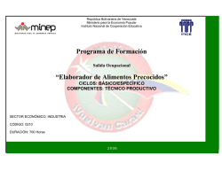 PROGRAMA ALIMENTOS PRECOCIDOS.pdf - Inces