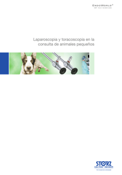Laparoscopia y toracoscopia en la consulta de animales - Karl Storz