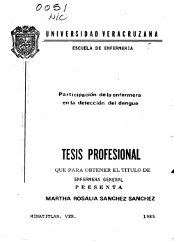 TESIS PROFESIONAL