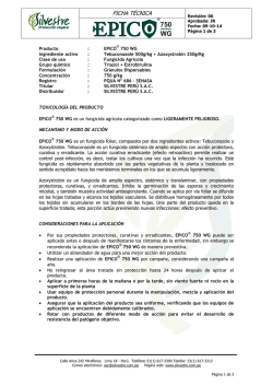 ficha técnica - Silvestre