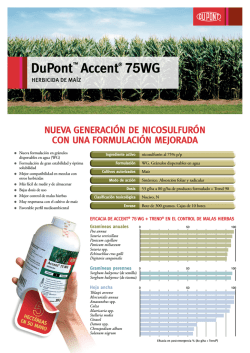 Accent® Encarte Maiz (PDF) - DuPont