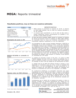 Reporte trimestral - Vector Casa de Bolsa SA de CV EXPERIENCIA