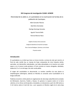 221. sabila vs el cuachalalate.pdf - Academia de Ciencias de Morelos