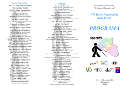 cienfuegos-programa-taller-baja-vision-2014